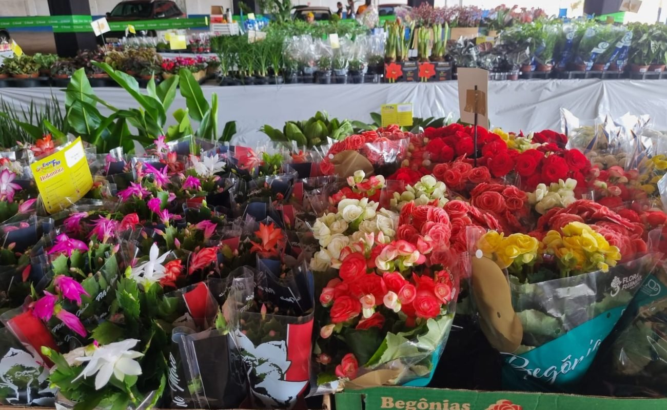 14a-Expoflor-da-Apae-JVC