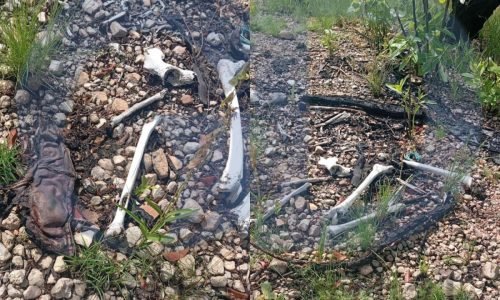 19578707316325b5bc27733e44d74bcd