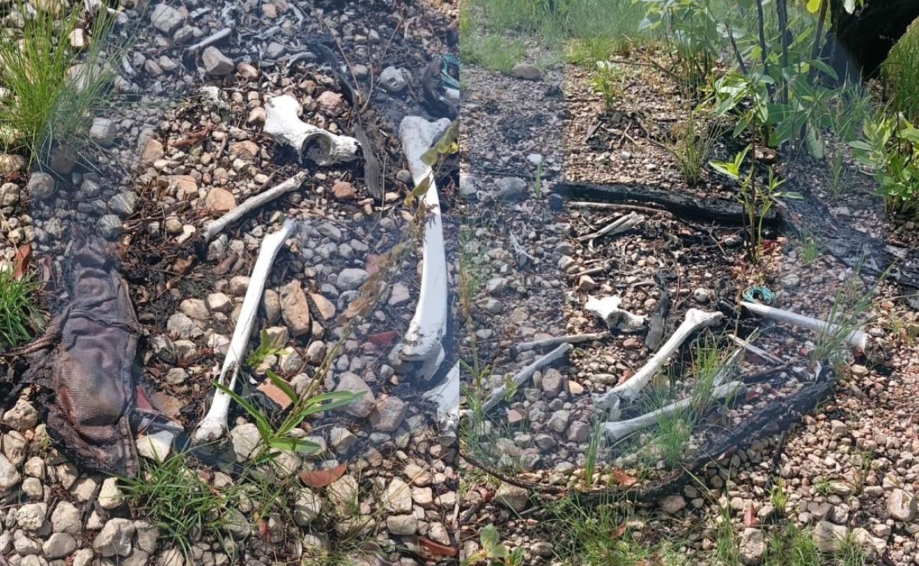 19578707316325b5bc27733e44d74bcd