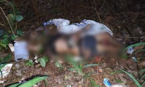 2204fca3decb9a08a2468107327d8448