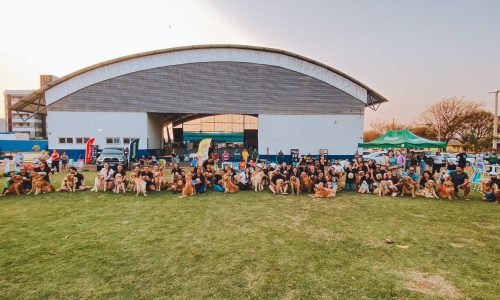 2o-Encontro-reunem-mais-de-50-caes-da-raca-Golden-em-Lucas-do-Rio-Verde-Portal-JVC