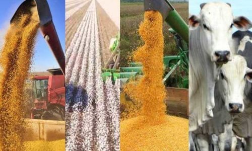 33e2b8a4049081512b0d32e84d92d316-1