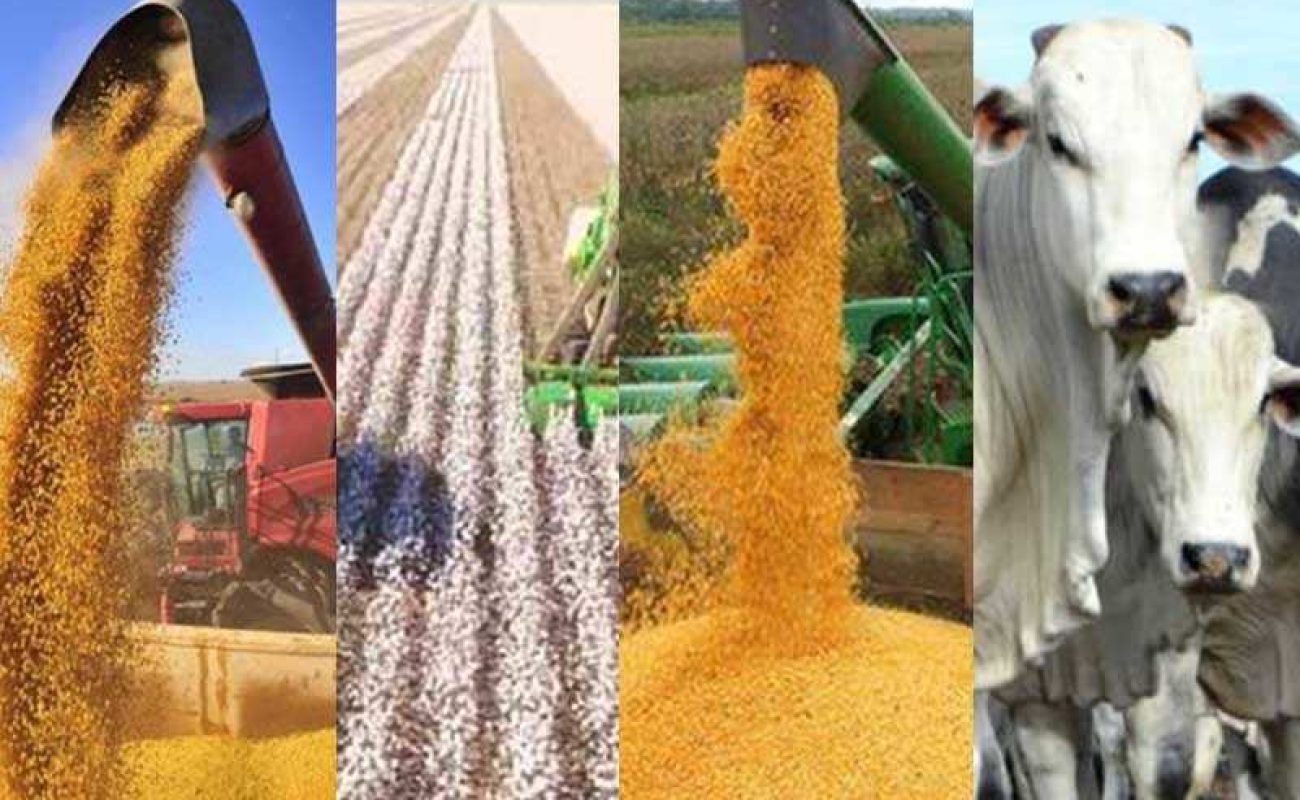 33e2b8a4049081512b0d32e84d92d316-1