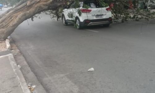 34331597eec1cf9bd750cd0351589e4a