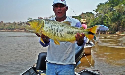 37fb6f37c6d727628bb186070e82d598