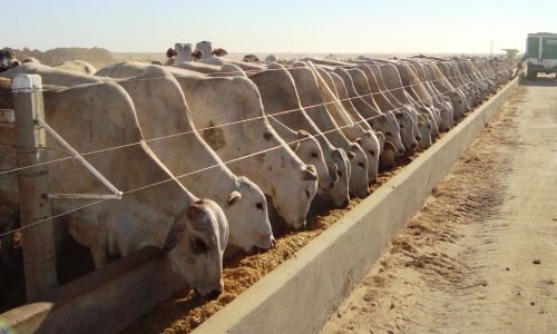 384375982073459328734095827034985720934857209348750928374