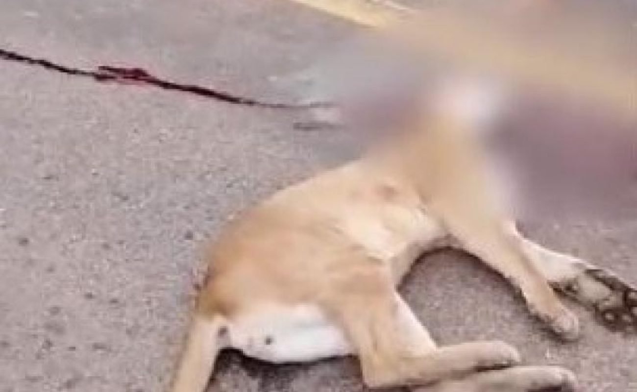 3bd03f8f5553b17146ad7f61e7474d3a