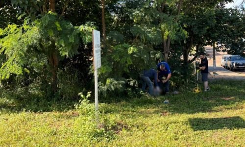 3e15bbf56023ed8d3c6dbc5259d321a8-1