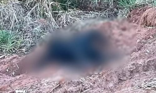 3f720c9f5289221e79201d9407cb6fcbf16c35ab