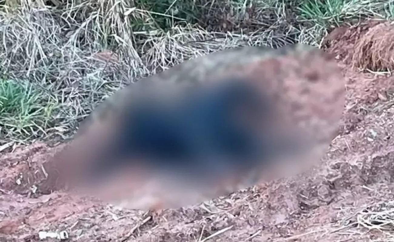 3f720c9f5289221e79201d9407cb6fcbf16c35ab