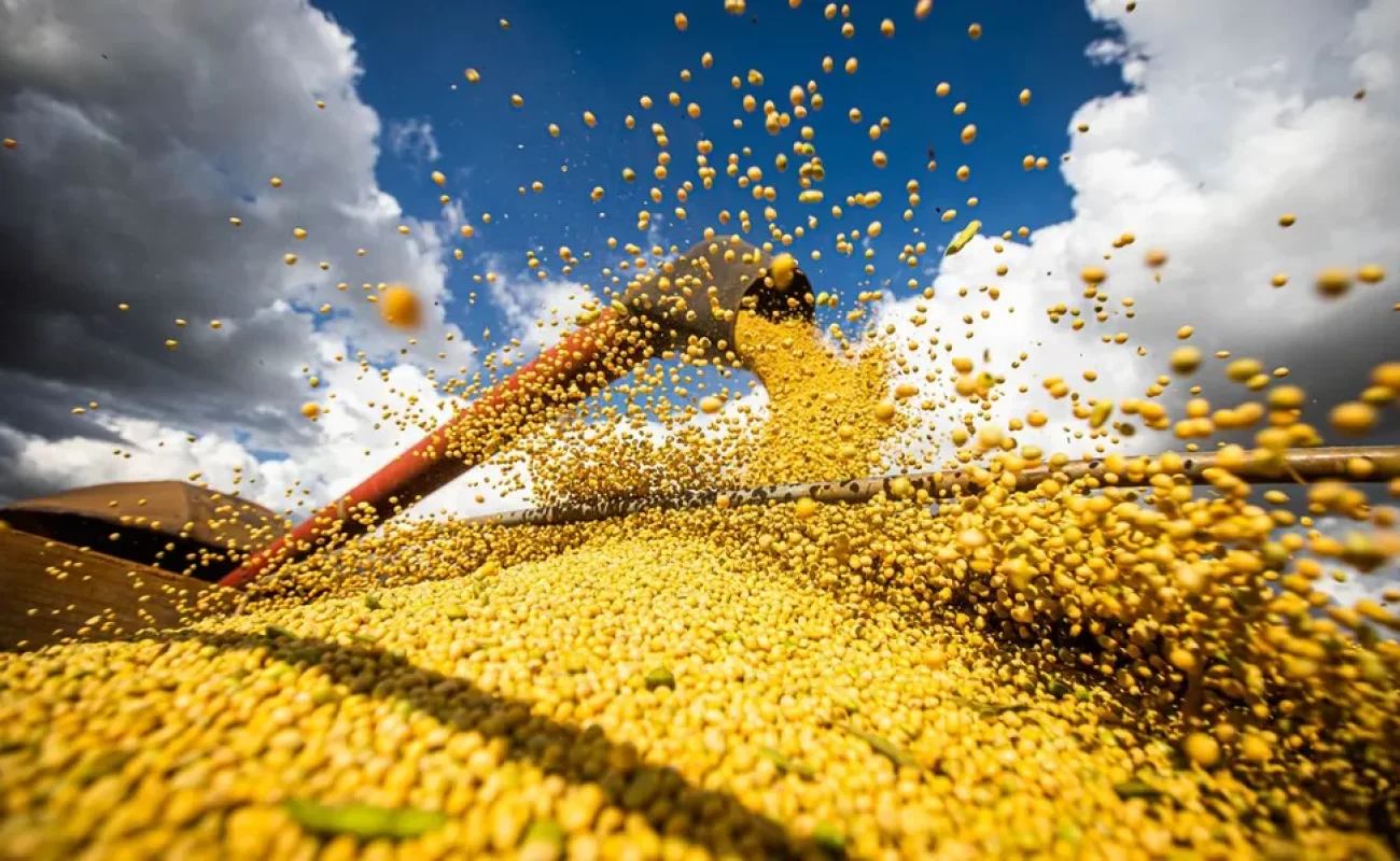 50926862498-639e8931b8-o