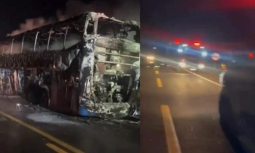 520a02c8775ae5672f575c325dcffd88