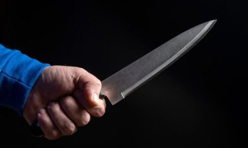 53ca727133ca7a1eec5159d3bc408f43-4