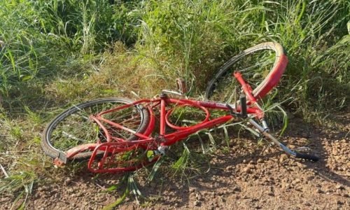 5965582ec32bac98931ccdd66b9ab6a5