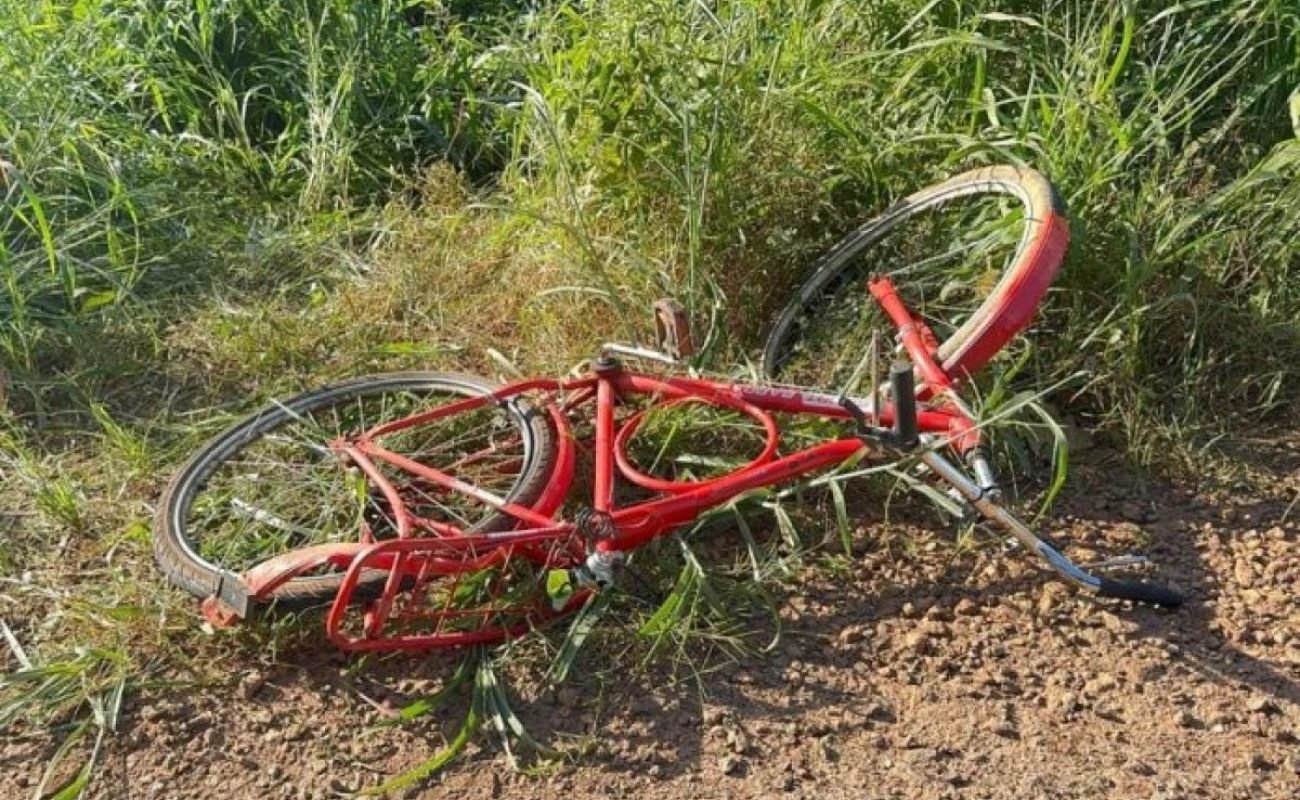 5965582ec32bac98931ccdd66b9ab6a5