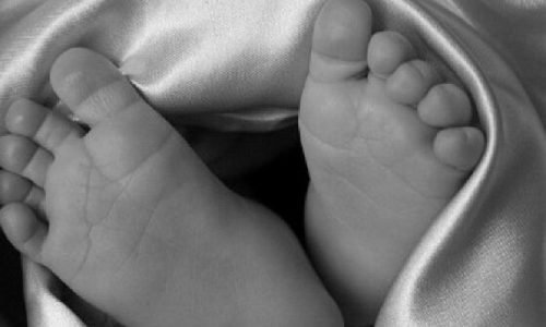 67966569b20f911a57490b1de5db96c5