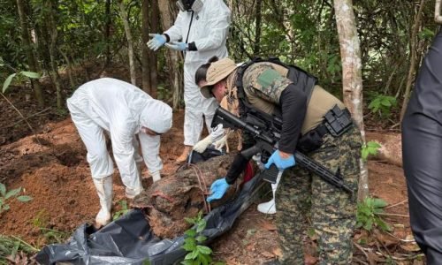 70e79fe0153d197b71292ea3d274a323