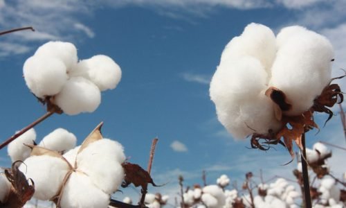 76543987654098765498765-1320x742