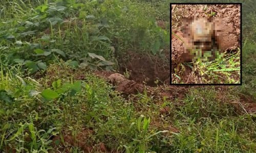 7c10fb1e08ad9e5b8c165a1cc3b6b73f