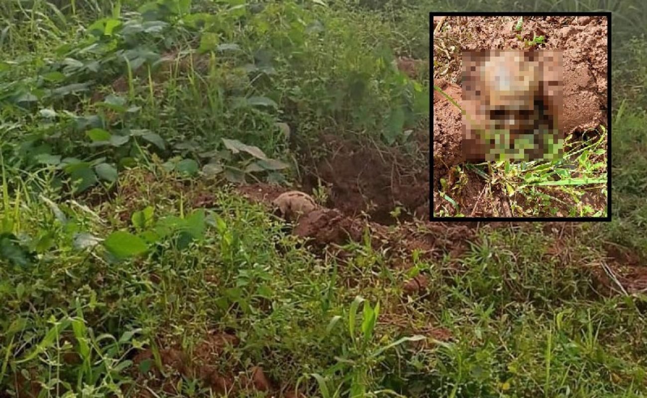 7c10fb1e08ad9e5b8c165a1cc3b6b73f