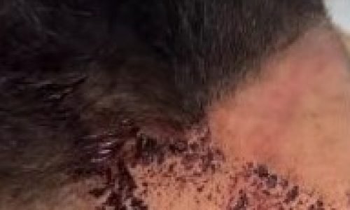 7dcd178de7bb5d35b6b05b4842c52818