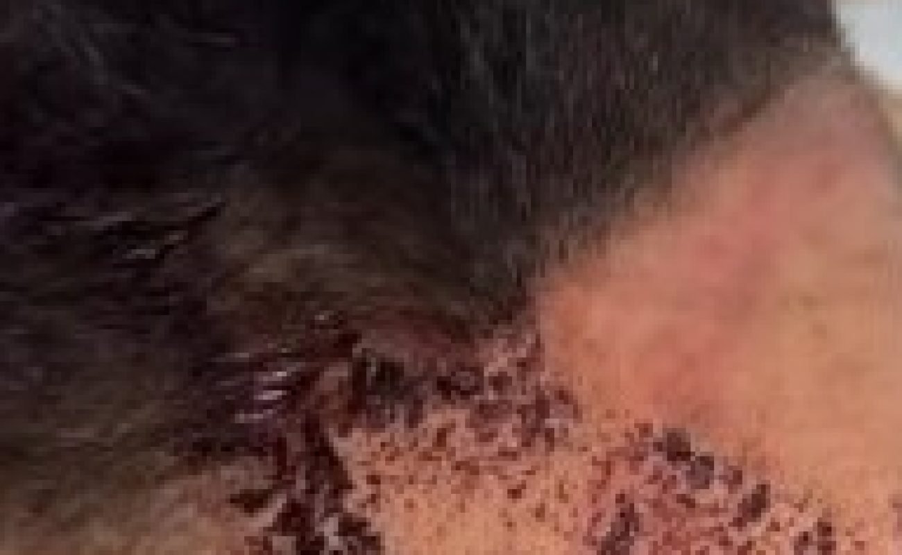 7dcd178de7bb5d35b6b05b4842c52818