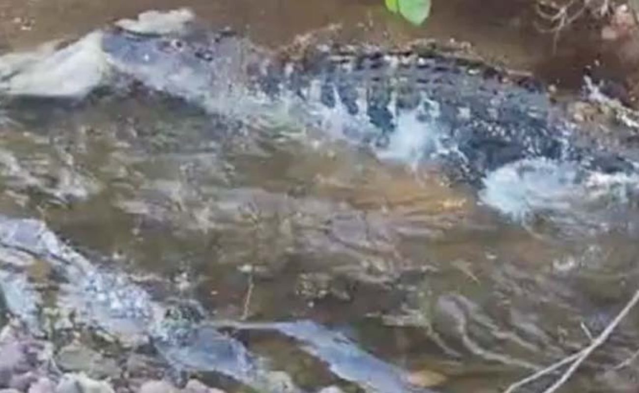 88a37d37aaf73b2f951351e59a852618