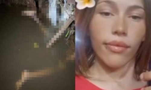 8caa1bc2c1b1a22b8831ec83150ba631