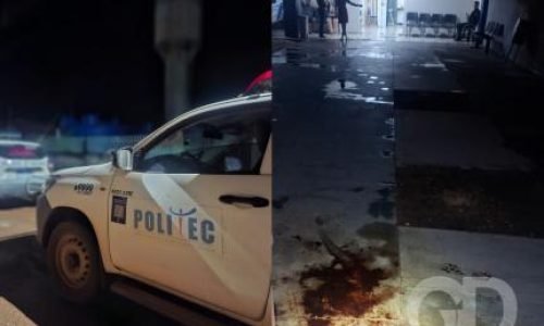 9e7d12e5eb02c6180fd000dba5444389