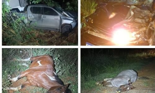 Acidente-provocado-por-cavalos-Portal-JVC