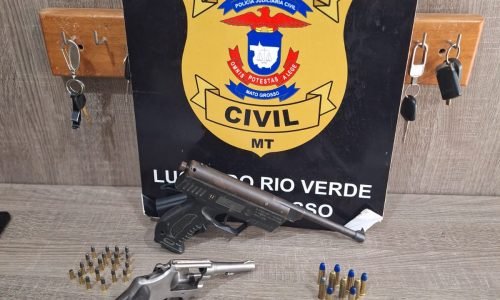 Apreensao-de-armas-pela-PC-Portal-JVC