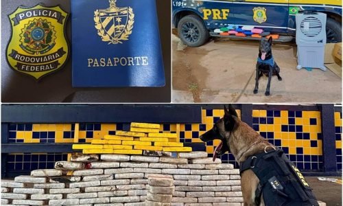 Apreensao-drogas-PRF-hoje-Portal-JVC