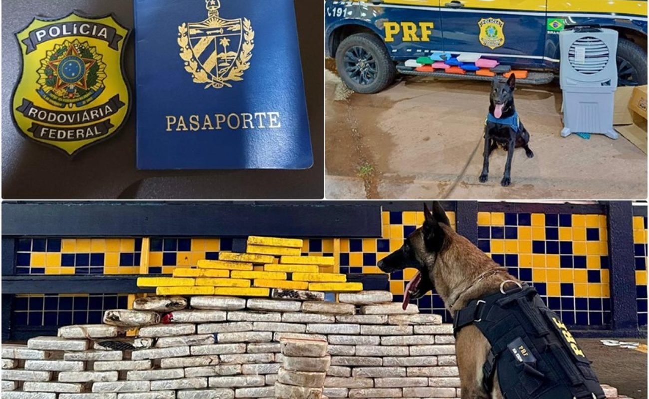 Apreensao-drogas-PRF-hoje-Portal-JVC