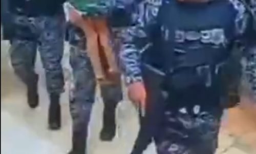 Ataques-de-caes-em-MT-I-Potal-JVC