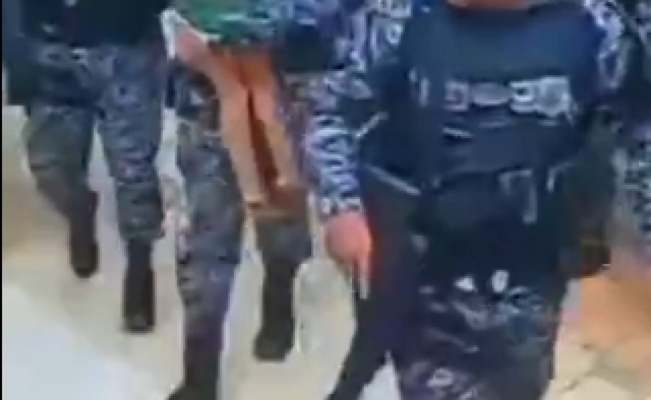 Ataques-de-caes-em-MT-I-Potal-JVC