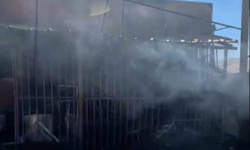 Bombeiros-combatem-incendio-em-Lucas-Portal-JVC