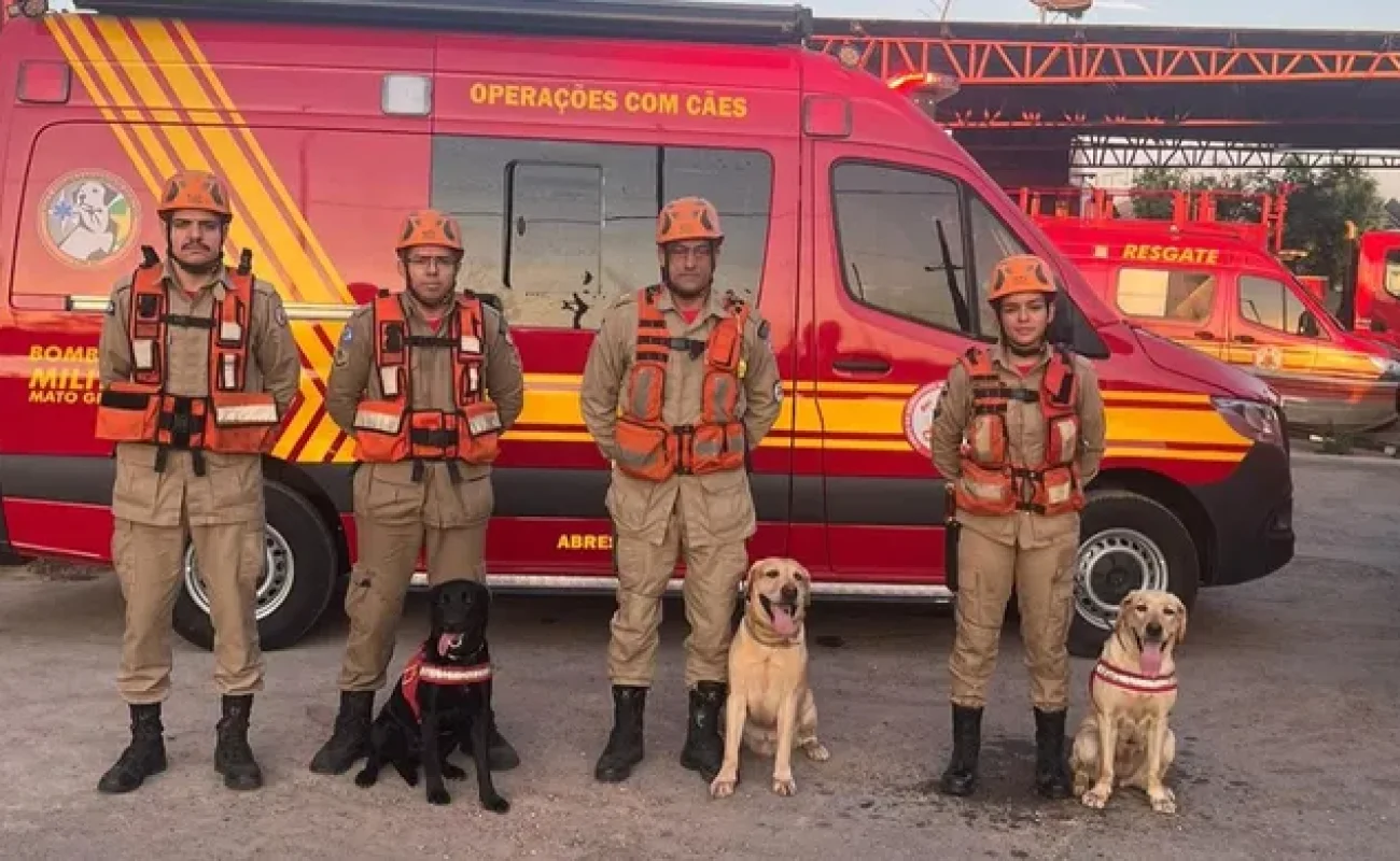 Bombeiros-de-MT-com-caes-farejadores-JVC