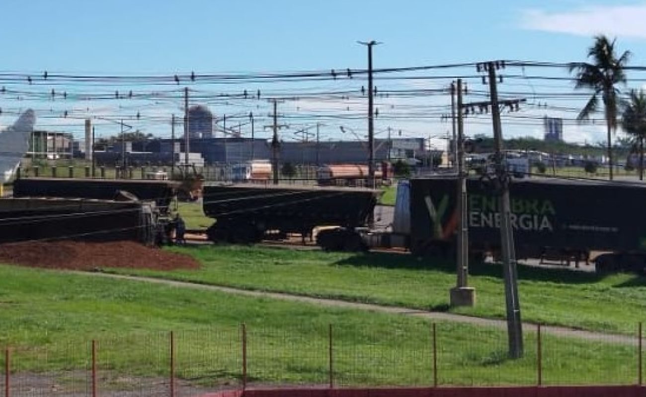 Caminhao-de-cavaco-tomba-Portal-JVC