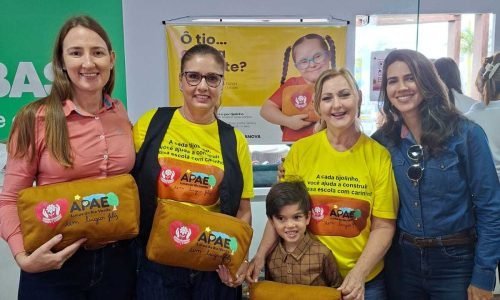 Campanha-Tijolinho-Apae-III-Portal-JVC-1