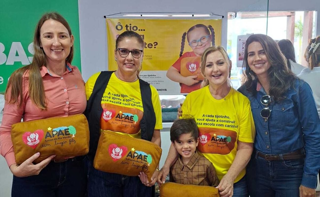 Campanha-Tijolinho-Apae-III-Portal-JVC-1