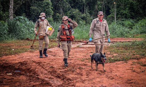 Cao-farejador-do-Bombeiros-no-Cemiterio-clandestino-em-Lucas-do-Rio-Verde-I-JVC