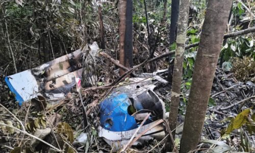 Captura-de-Tela-2025-12-03-as-13.47.09-696x398-1