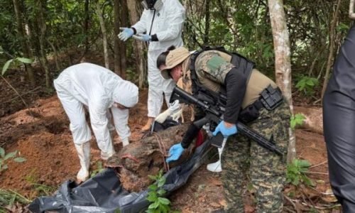 Cemiterios-clandestino-Portal-JVC