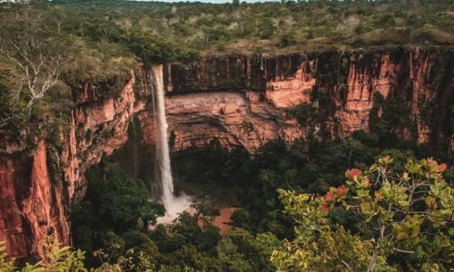 Chapada-dos-Guimaraes-JVC