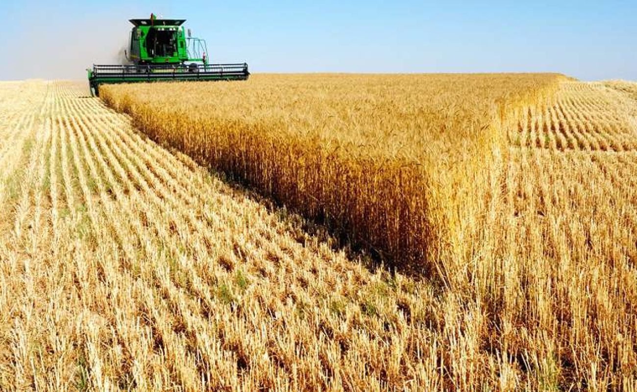 Colheitadeira-Jhon-Dere-de-milho-JVC Colheitadeira-Jhon-Dere-de-milho-JVC