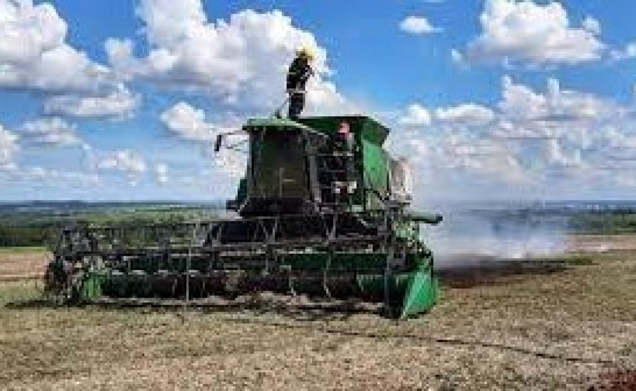 Colheitadeira-em-Sorriso