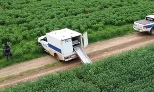 Corpo-e-encontrado-em-lavoura-Portal-JVC