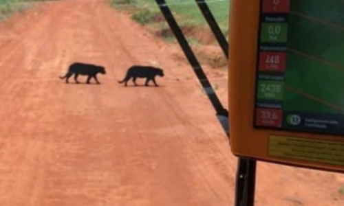 Design-sem-nomegggg-1