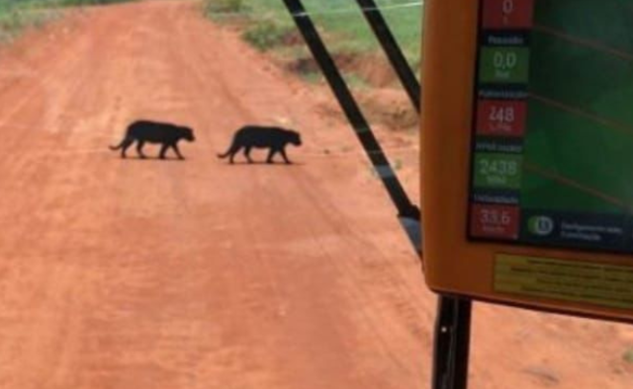 Design-sem-nomegggg-1