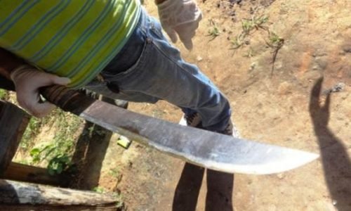 Facao-em-Tangara-Portal-JVC